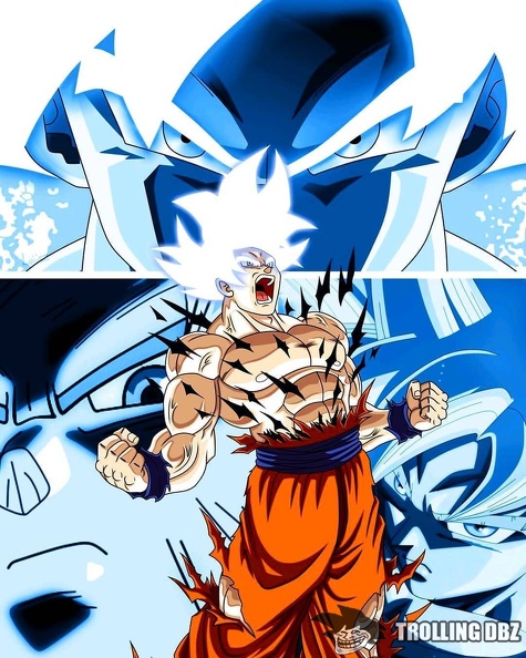 Goku Ultra Instinct stylé