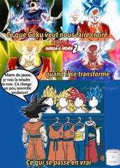 Goku choix coiffure et tenue rouge jaune gris cheveux long perruque