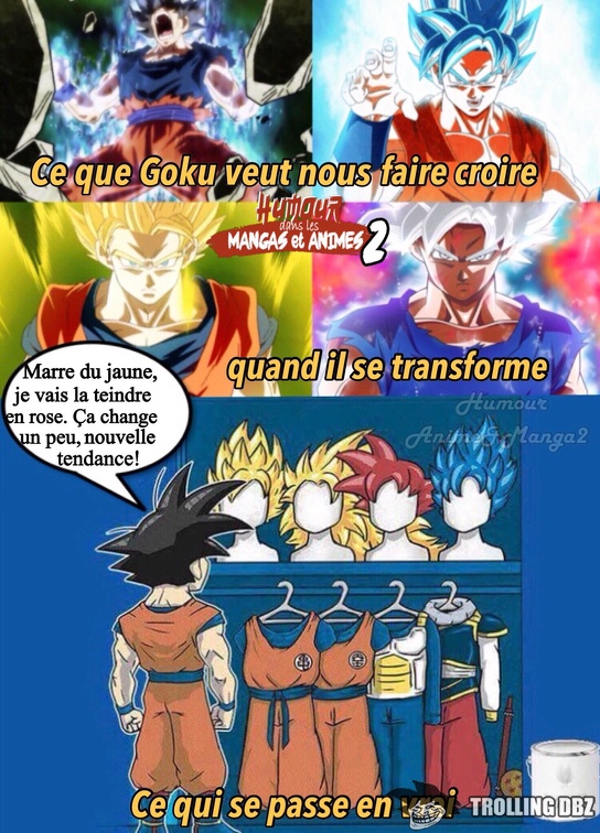 Goku choix coiffure et tenue rouge jaune gris cheveux long perruque