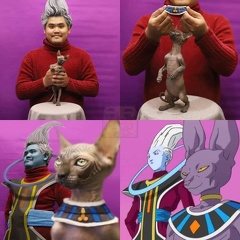 Beerus cat chat whis